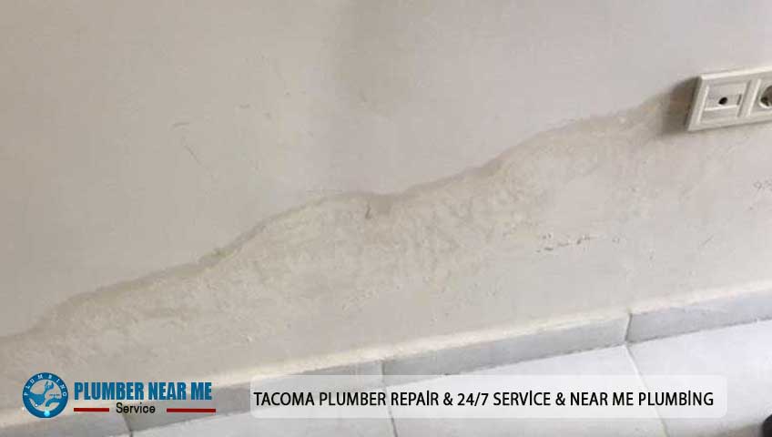 Tacoma Plumber Repair